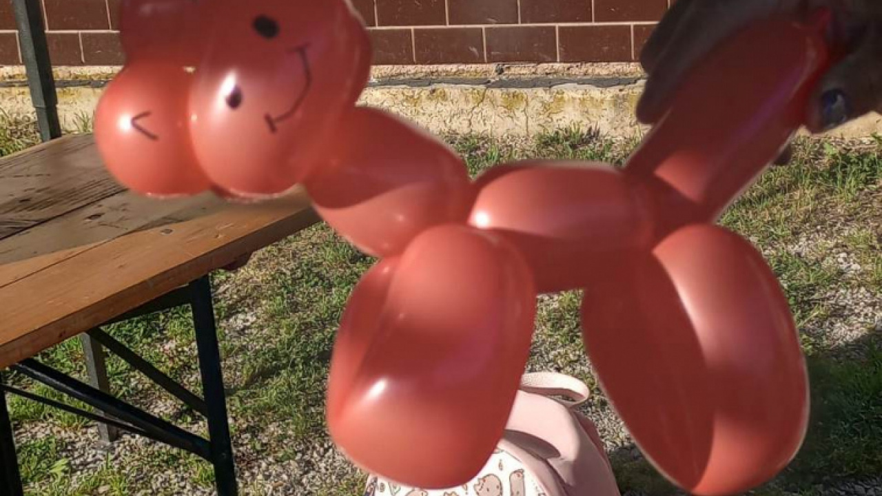 Fotografia fotogalérie MDD 2023