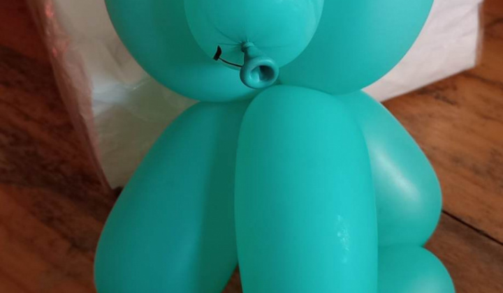 14. fotografia fotogalérie MDD 2023