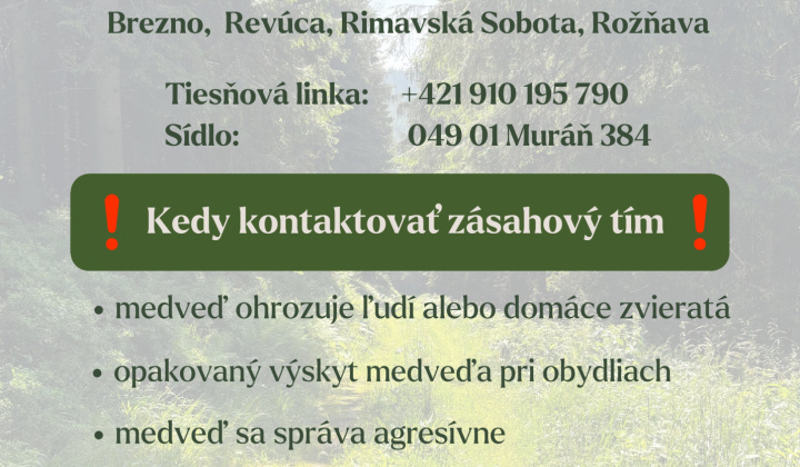 Fotka - Zásahový tím pre medveďa hnedého